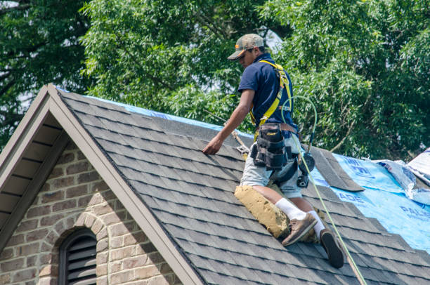 Best Roof Leak Repair  in Brunswick, MD